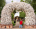 Antler Arch in Jackson,WY