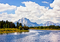Oxbow Bend View