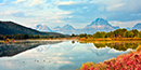 Oxbow Bend Sunrise View
